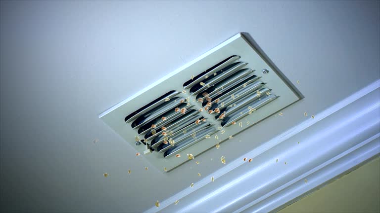 Best Commercial HVAC Duct Cleaning  in Butler, IN