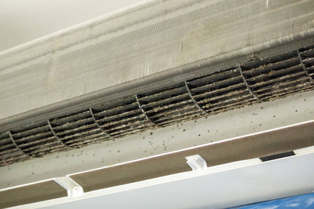 Best HVAC Maintenance and Cleaning  in Butler, IN