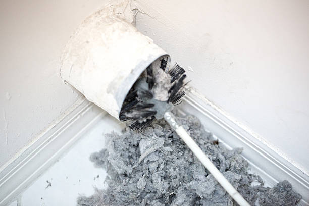 Best Duct Cleaning Specialists  in Butler, IN